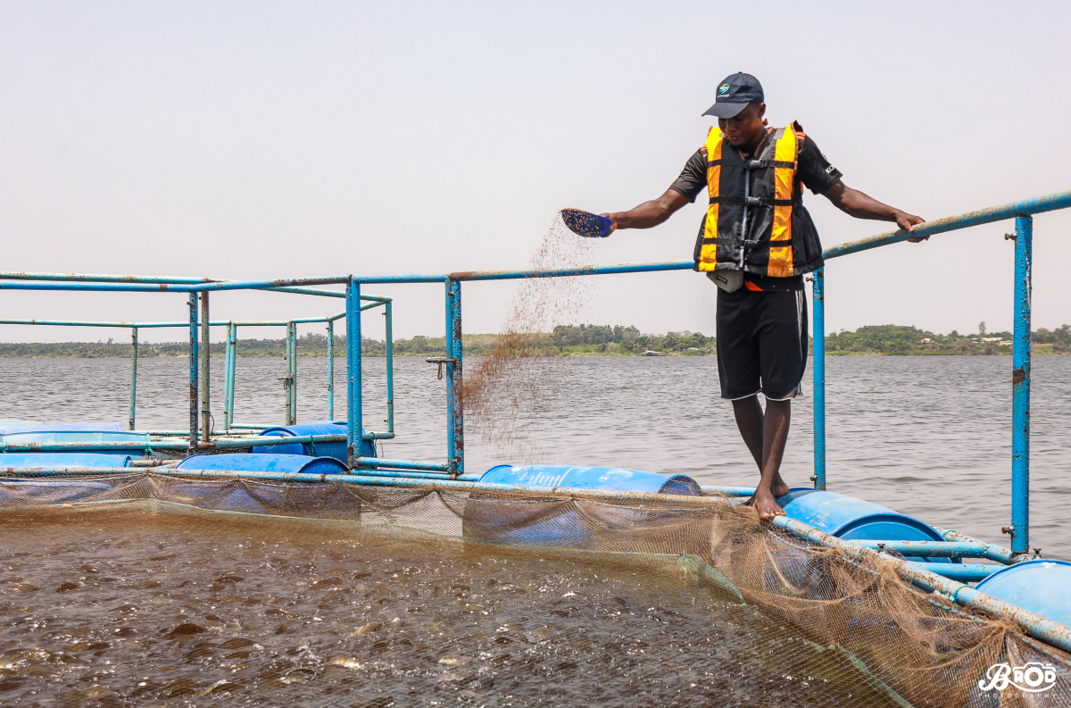 Aquagenius-Benin-Gestion-Ecosystemes-Aquatiques