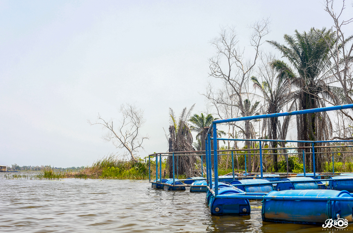 Aquagenius-Benin-Gestion des Ecosystèmes